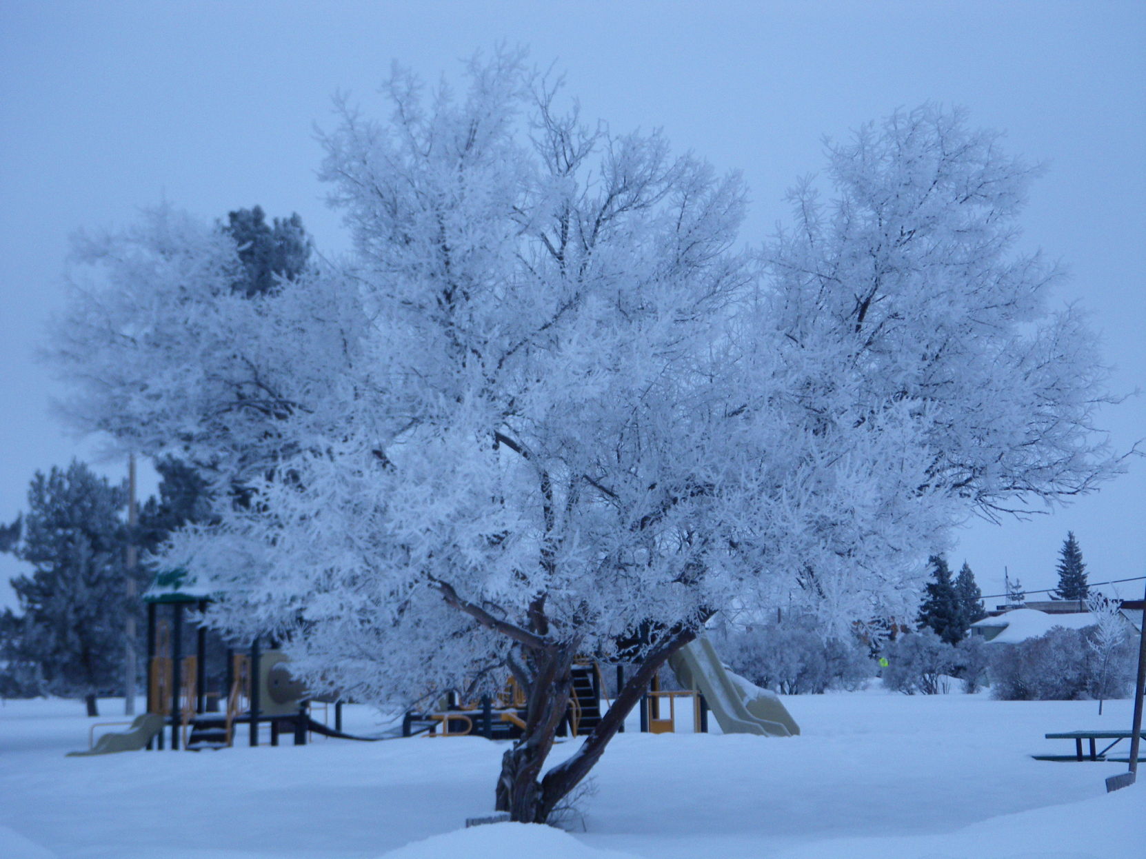 Ice Fog